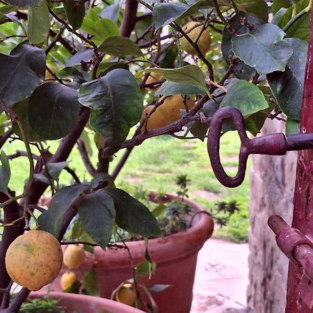 Agriturismo Campo Del Pillo Pietradura المظهر الخارجي الصورة