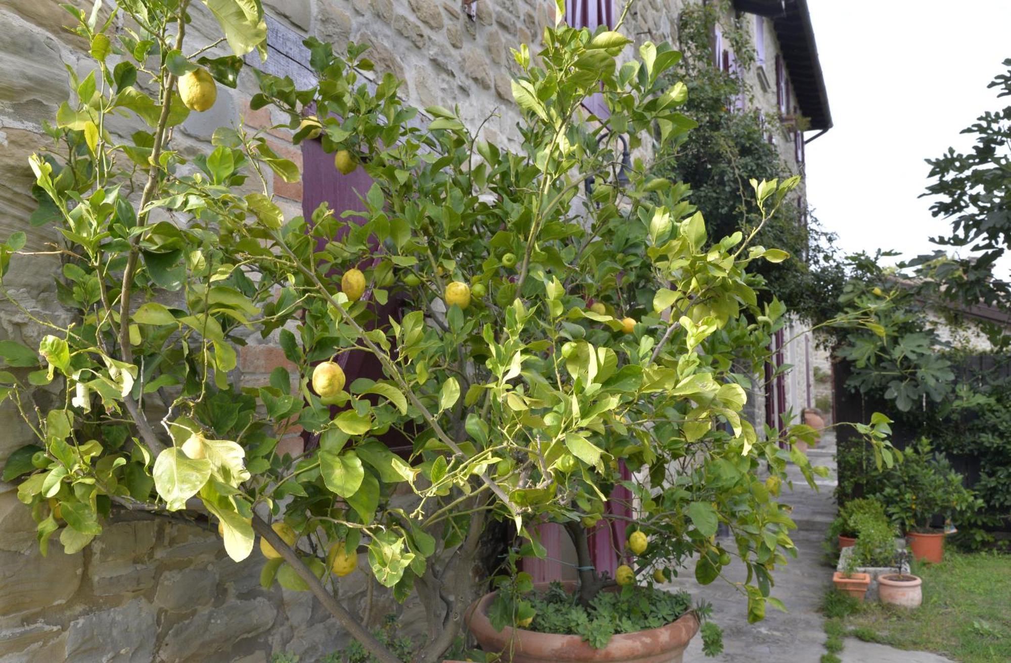Agriturismo Campo Del Pillo Pietradura المظهر الخارجي الصورة