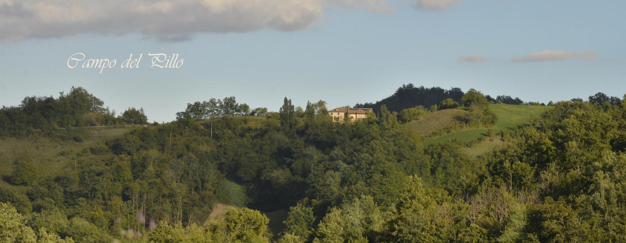 Agriturismo Campo Del Pillo Pietradura المظهر الخارجي الصورة
