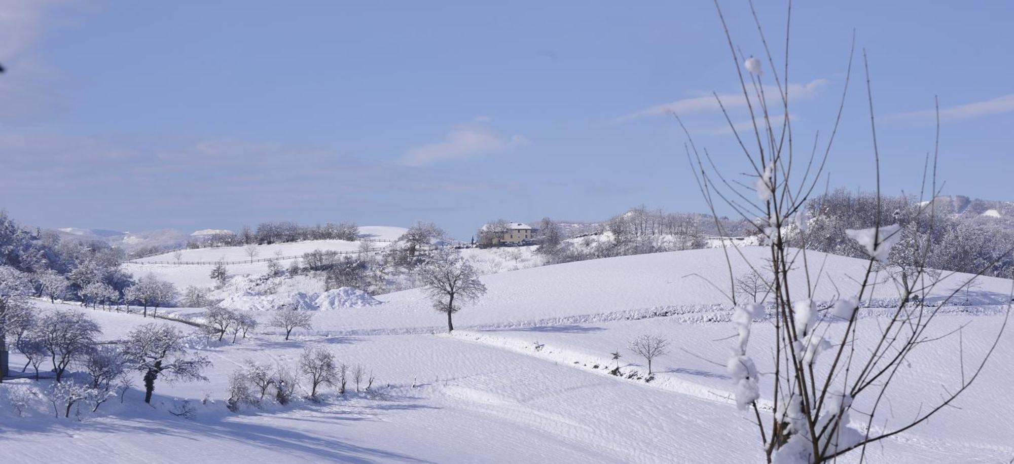 Agriturismo Campo Del Pillo Pietradura المظهر الخارجي الصورة