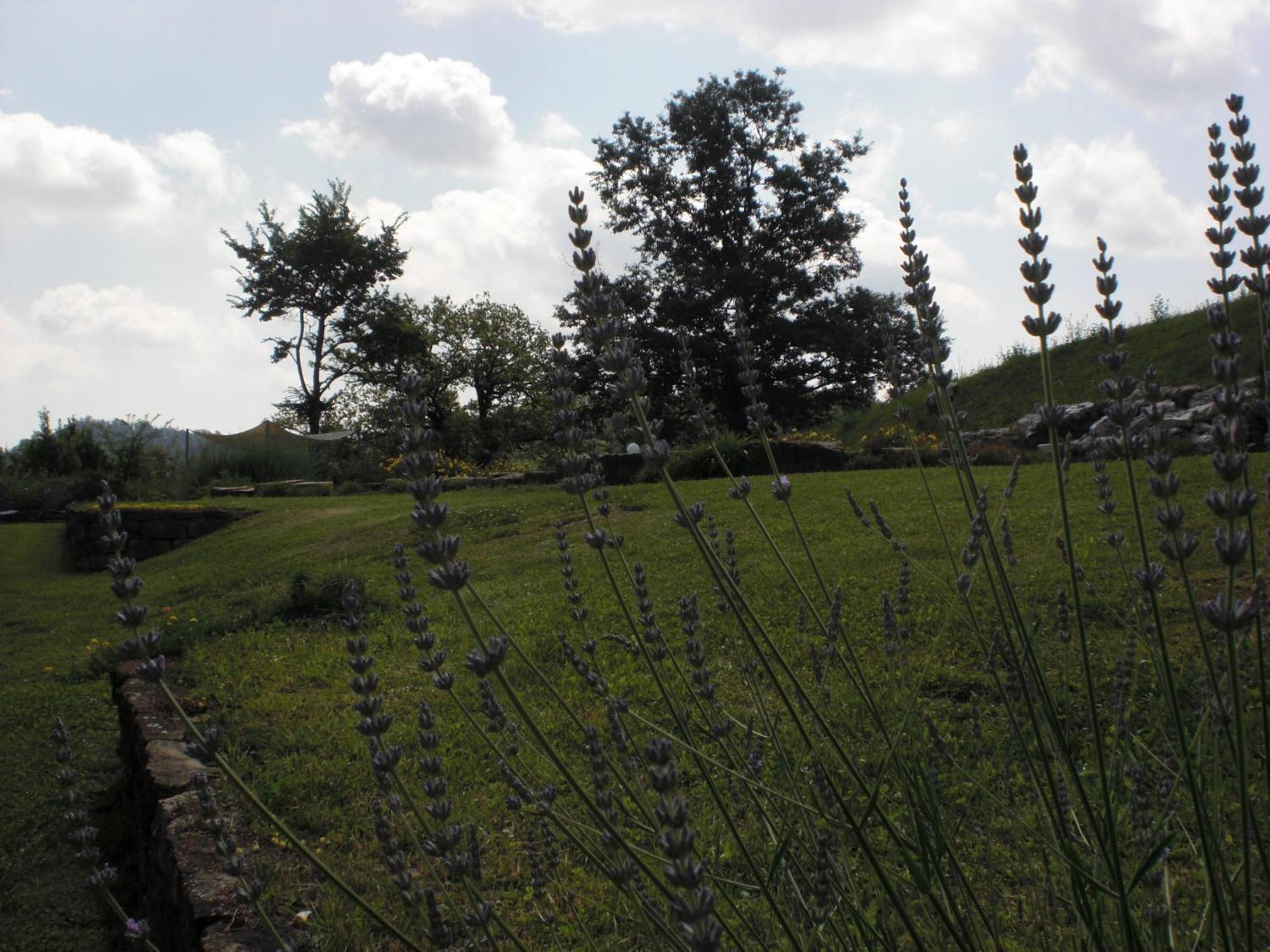 Agriturismo Campo Del Pillo Pietradura المظهر الخارجي الصورة